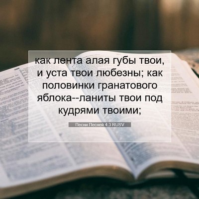Picture 07 - Песни Песней 4:3 RUSV - как лента алая губы твои, и - Bible Verse Picture