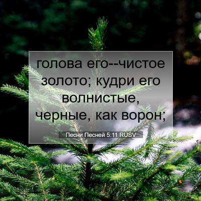 Picture 07 - Песни Песней 5:11 RUSV - голова его--чистое золото; - Bible Verse Picture