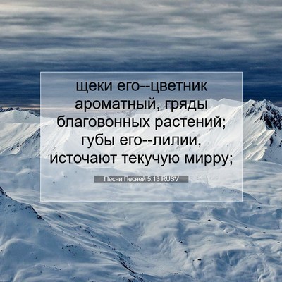 Picture 07 - Песни Песней 5:13 RUSV - щеки его--цветник - Bible Verse Picture