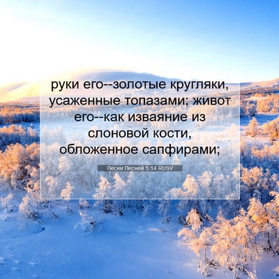 Picture 07 - Песни Песней 5:14 RUSV - руки его--золотые кругляки, - Bible Verse Picture