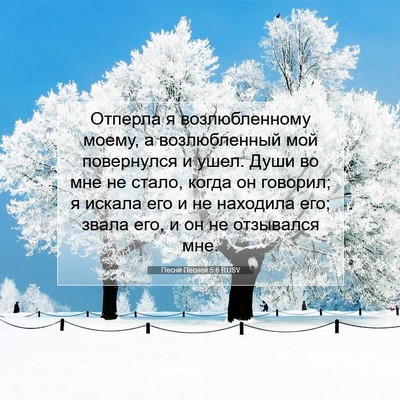 Picture 07 - Песни Песней 5:6 RUSV - Отперла я возлюбленному - Bible Verse Picture