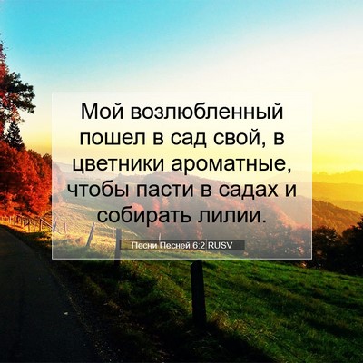 Picture 07 - Песни Песней 6:2 RUSV - Мой возлюбленный пошел в - Bible Verse Picture