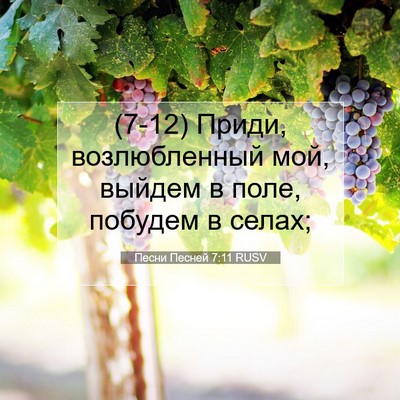 Picture 07 - Песни Песней 7:11 RUSV - (7-12) Приди, возлюбленный - Bible Verse Picture