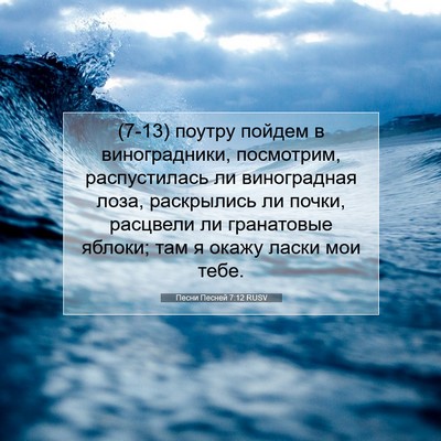 Picture 07 - Песни Песней 7:12 RUSV - (7-13) поутру пойдем в - Bible Verse Picture