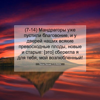 Picture 07 - Песни Песней 7:13 RUSV - (7-14) Мандрагоры уже пустили - Bible Verse Picture