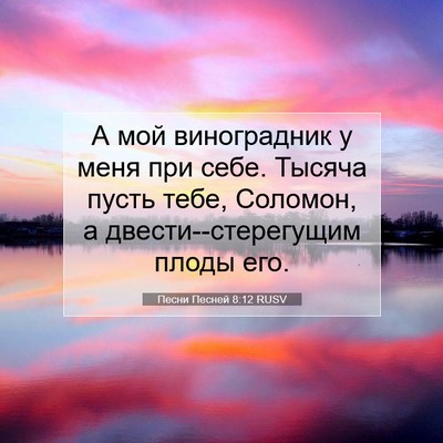 Picture 07 - Песни Песней 8:12 RUSV - А мой виноградник у меня - Bible Verse Picture