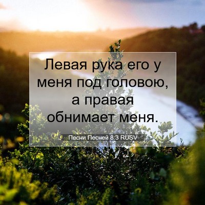 Picture 07 - Песни Песней 8:3 RUSV - Левая рука его у меня под - Bible Verse Picture