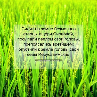 Picture 07 - Плач Иеремии 2:10 RUSV - Сидят на земле безмолвно - Bible Verse Picture