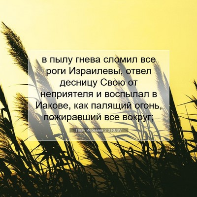 Picture 07 - Плач Иеремии 2:3 RUSV - в пылу гнева сломил все - Bible Verse Picture