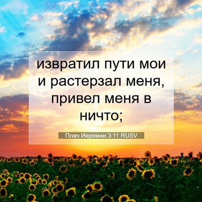 Picture 07 - Плач Иеремии 3:11 RUSV - извратил пути мои и - Bible Verse Picture