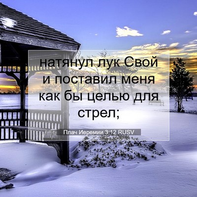 Picture 07 - Плач Иеремии 3:12 RUSV - натянул лук Свой и - Bible Verse Picture