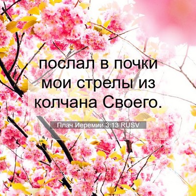 Picture 07 - Плач Иеремии 3:13 RUSV - послал в почки мои стрелы - Bible Verse Picture