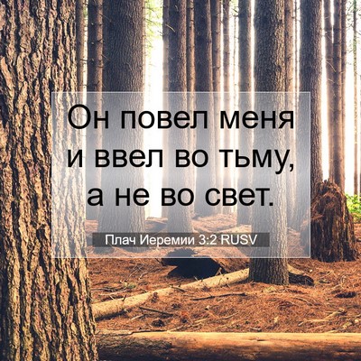 Picture 07 - Плач Иеремии 3:2 RUSV - Он повел меня и ввел во - Bible Verse Picture
