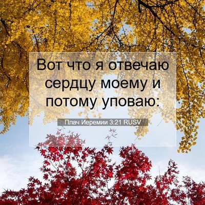 Picture 07 - Плач Иеремии 3:21 RUSV - Вот что я отвечаю сердцу - Bible Verse Picture