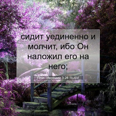 Picture 07 - Плач Иеремии 3:28 RUSV - сидит уединенно и молчит, - Bible Verse Picture