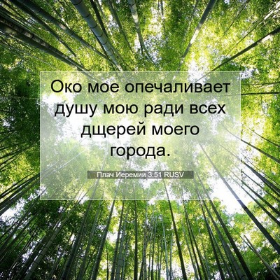 Picture 07 - Плач Иеремии 3:51 RUSV - Око мое опечаливает душу - Bible Verse Picture