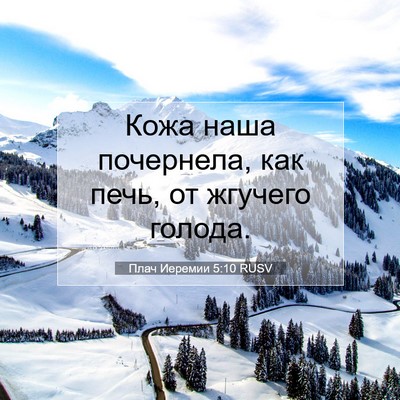 Picture 07 - Плач Иеремии 5:10 RUSV - Кожа наша почернела, как - Bible Verse Picture