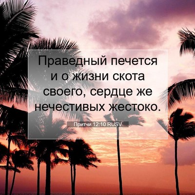 Picture 07 - Притчи 12:10 RUSV - Праведный печется и о - Bible Verse Picture