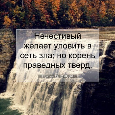 Picture 07 - Притчи 12:12 RUSV - Нечестивый желает уловить - Bible Verse Picture