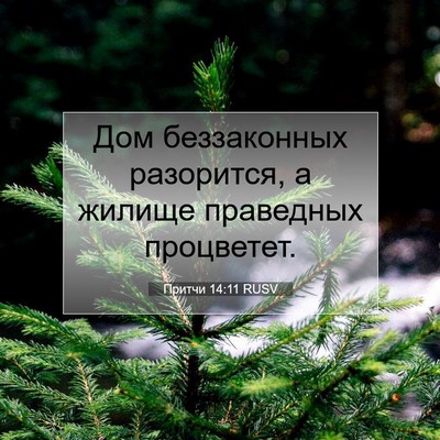 Picture 07 - Притчи 14:11 RUSV - Дом беззаконных разорится, - Bible Verse Picture