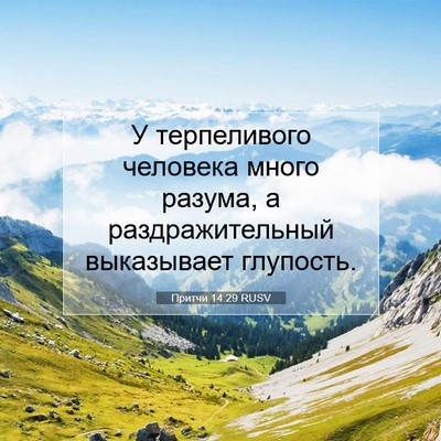 Picture 07 - Притчи 14:29 RUSV - У терпеливого человека - Bible Verse Picture