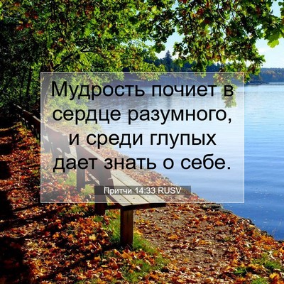 Picture 07 - Притчи 14:33 RUSV - Мудрость почиет в сердце - Bible Verse Picture