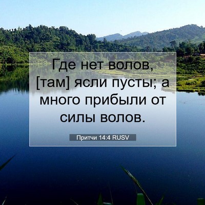Picture 07 - Притчи 14:4 RUSV - Где нет волов, [там] ясли - Bible Verse Picture