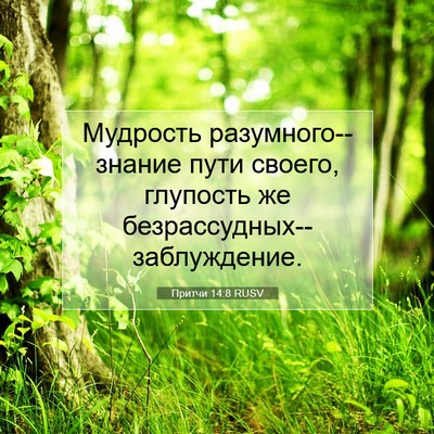 Picture 07 - Притчи 14:8 RUSV - Мудрость разумного--знание - Bible Verse Picture