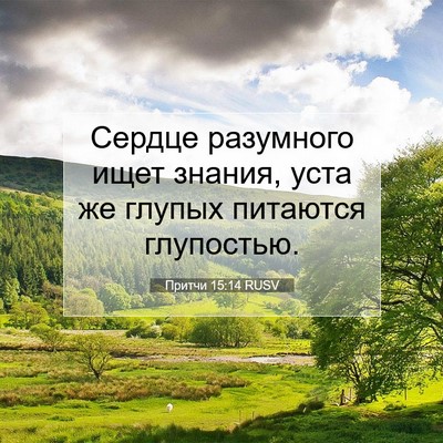 Picture 07 - Притчи 15:14 RUSV - Сердце разумного ищет - Bible Verse Picture