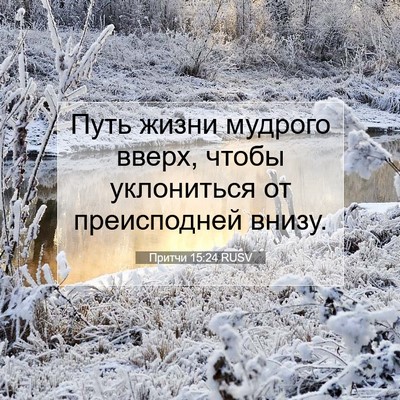 Picture 07 - Притчи 15:24 RUSV - Путь жизни мудрого вверх, - Bible Verse Picture