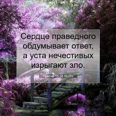 Picture 07 - Притчи 15:28 RUSV - Сердце праведного - Bible Verse Picture