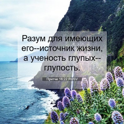 Picture 07 - Притчи 16:22 RUSV - Разум для имеющих - Bible Verse Picture