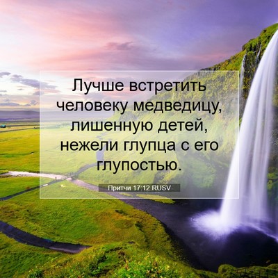Picture 07 - Притчи 17:12 RUSV - Лучше встретить человеку - Bible Verse Picture