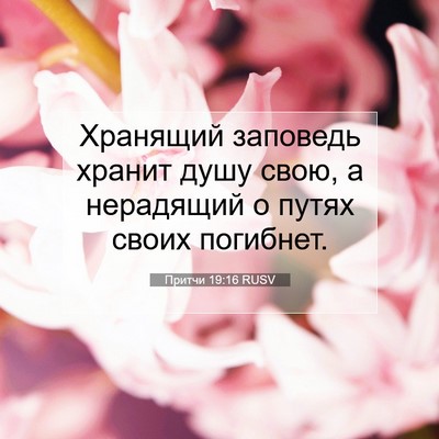 Picture 07 - Притчи 19:16 RUSV - Хранящий заповедь хранит - Bible Verse Picture