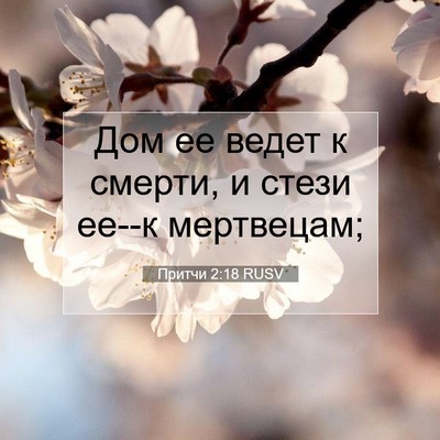 Picture 07 - Притчи 2:18 RUSV - Дом ее ведет к смерти, и - Bible Verse Picture