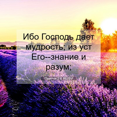 Picture 07 - Притчи 2:6 RUSV - Ибо Господь дает мудрость; - Bible Verse Picture