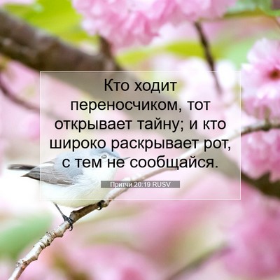 Picture 07 - Притчи 20:19 RUSV - Кто ходит переносчиком, - Bible Verse Picture