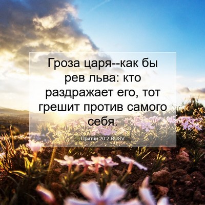 Picture 07 - Притчи 20:2 RUSV - Гроза царя--как бы рев льва: - Bible Verse Picture