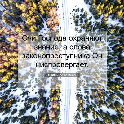 Picture 07 - Притчи 22:12 RUSV - Очи Господа охраняют - Bible Verse Picture