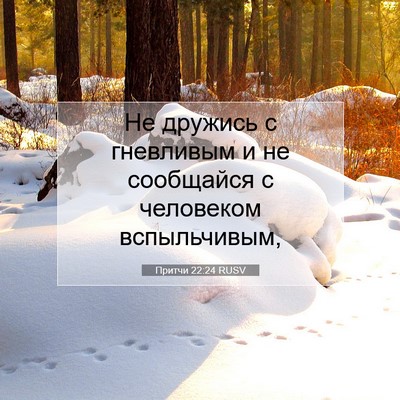 Picture 07 - Притчи 22:24 RUSV - Не дружись с гневливым и не - Bible Verse Picture