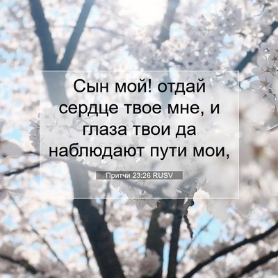 Picture 07 - Притчи 23:26 RUSV - Сын мой! отдай сердце твое - Bible Verse Picture