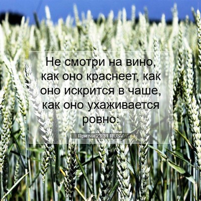 Picture 07 - Притчи 23:31 RUSV - Не смотри на вино, как оно - Bible Verse Picture