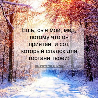 Picture 07 - Притчи 24:13 RUSV - Ешь, сын мой, мед, потому - Bible Verse Picture