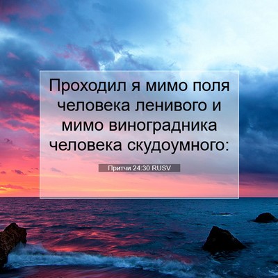 Picture 07 - Притчи 24:30 RUSV - Проходил я мимо поля - Bible Verse Picture