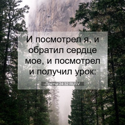 Picture 07 - Притчи 24:32 RUSV - И посмотрел я, и обратил - Bible Verse Picture