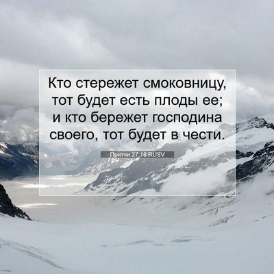 Picture 07 - Притчи 27:18 RUSV - Кто стережет смоковницу, - Bible Verse Picture