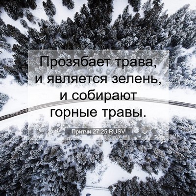 Picture 07 - Притчи 27:25 RUSV - Прозябает трава, и - Bible Verse Picture