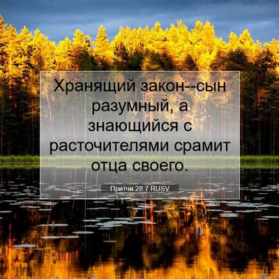 Picture 07 - Притчи 28:7 RUSV - Хранящий закон--сын - Bible Verse Picture