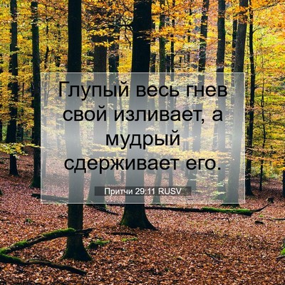 Picture 07 - Притчи 29:11 RUSV - Глупый весь гнев свой - Bible Verse Picture