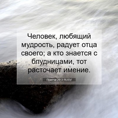 Picture 07 - Притчи 29:3 RUSV - Человек, любящий мудрость, - Bible Verse Picture